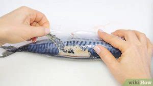 How to Ferment Fish: 15 Steps (with Pictures) .
